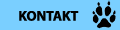 Dane kontaktowe